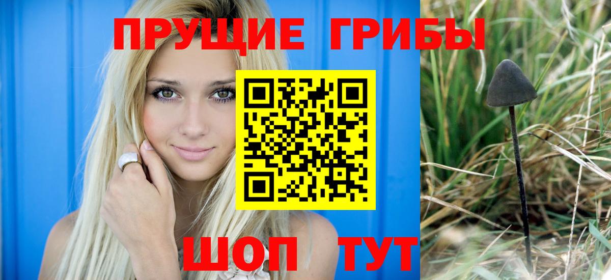 Галлюциногенные грибы Psilocybe  Вход с VPN  Галлюциногенные грибы Magic Shrooms  Алапаевск 